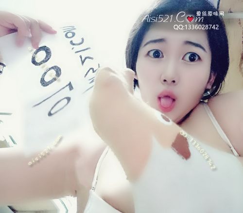 彩色小动物纯纯女生棉袜（三种颜色）原味丝袜|袜类臭棉袜