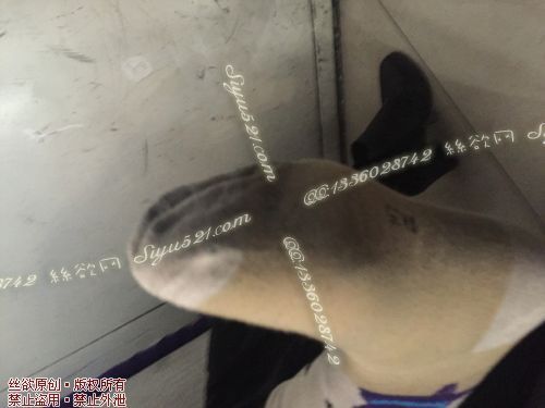 原味丝袜|袜类,臭棉袜,致命臭(此活动MM随机，不能指定)——2017年1月下旬【赠送】顾客致命臭活动MM（棉袜）现收足底实拍，不可选择MM，免费附带无水印高清收购足底实拍图。