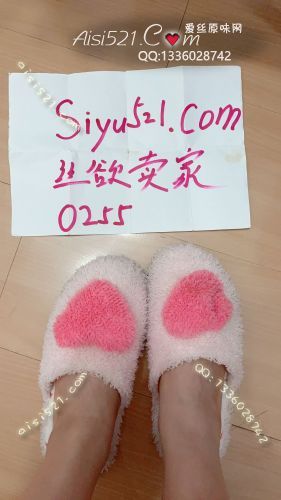 原味女鞋|鞋类,鞋类相关,超级臭棉拖鞋